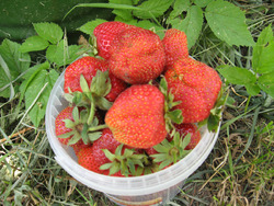 ��������� ������� ������������� �������� �� ������ �����.