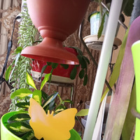 Липучки для домашних насекомых