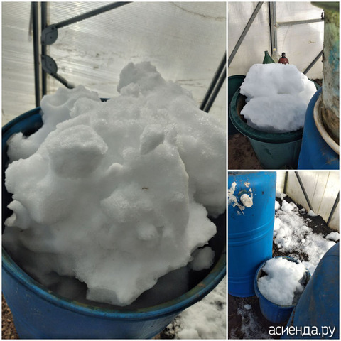 ������������ ����