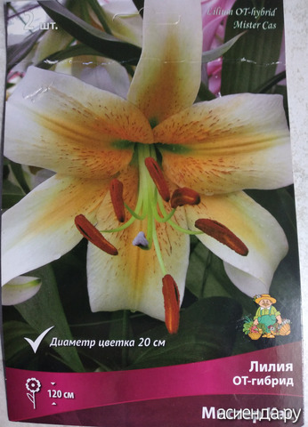 ������� 14 �����