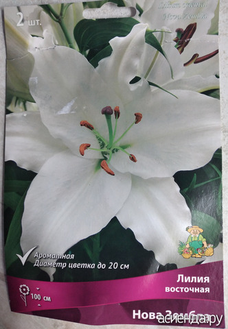 ������� 14 �����