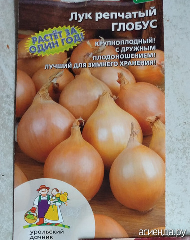 ����� 4 �����