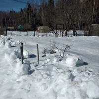 ������� �����, � ���� �� ������...