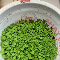 ����. ��������� �������