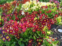 ��������� ������� �����������. ������� ����� ������.