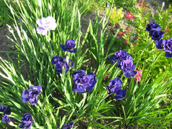 ��������� �������� ����� �� ����� ��������� �� ������ �����