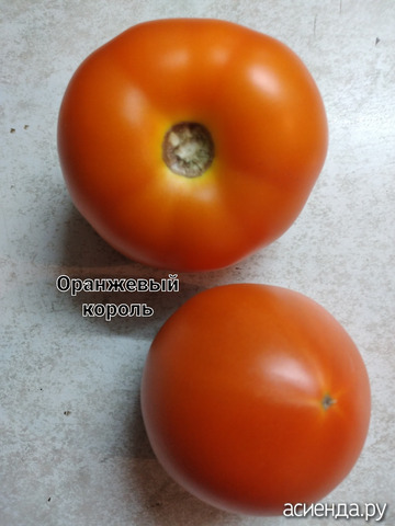 "Оранжевый король"