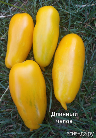 "Длинный чулок"