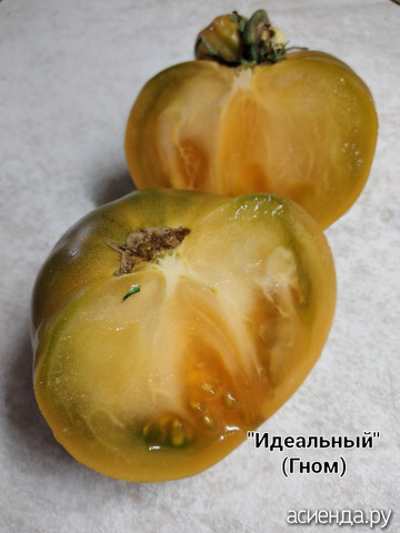 27 августа