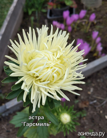 13 сентября